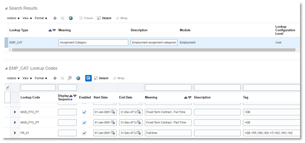 Understanding The Common Lookups In Oracle HCM Cloud | Mastek