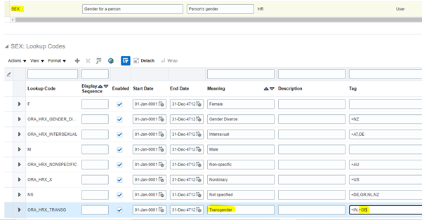 assignment category lookup in fusion hcm Business case