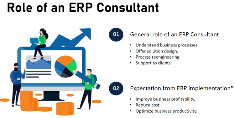 Role of an ERP Consultant