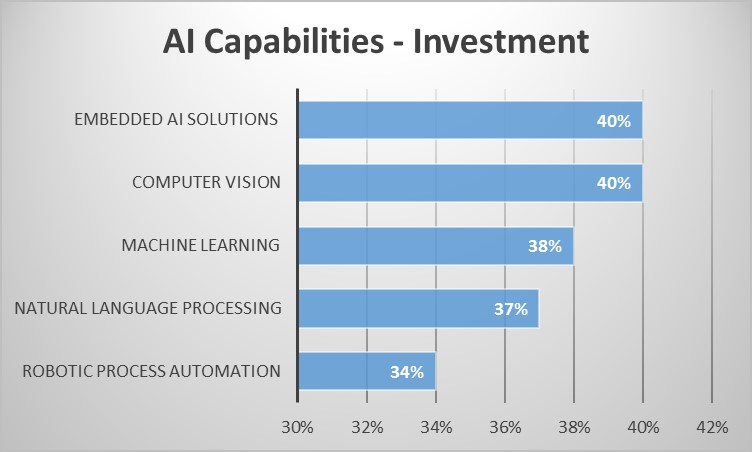 AI Capabilities - Investment .jpg